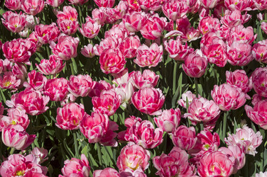 Similar image 21272761