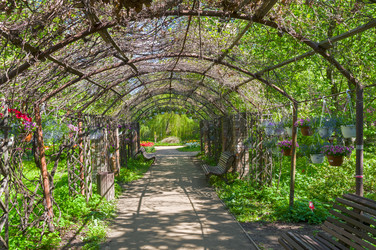 Similar image 21272762