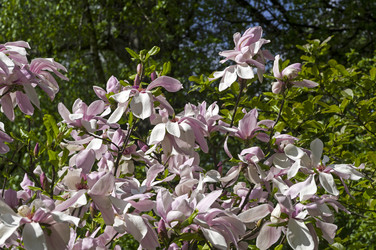 Similar image 21272763