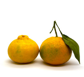 Similar image 21272825