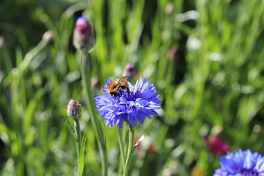 Similar image 21272768