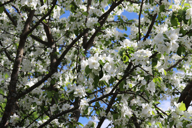 Similar image 21272769