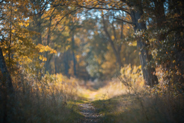 Similar image 21272974