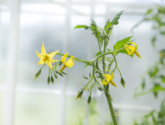 Similar image 21280559