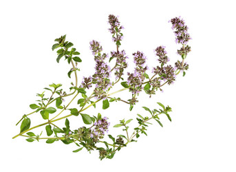 Similar image 21280560