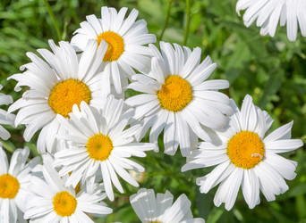 Similar image 21280565