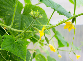 Similar image 21280572