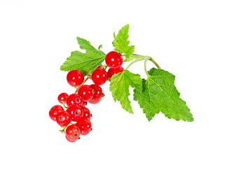 Similar image 21280575