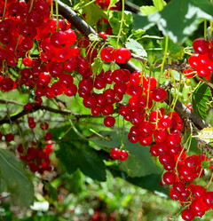 Similar image 21280577