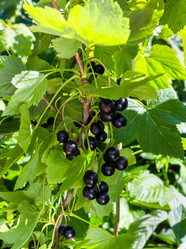 Similar image 21280581