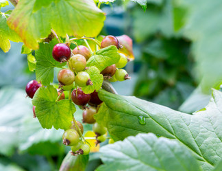 Similar image 21280588