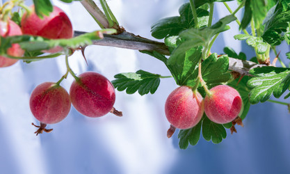 Similar image 21280590