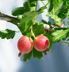 Similar image 21280593