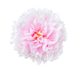 Similar image 21280599