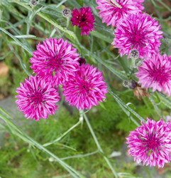 Similar image 21280600