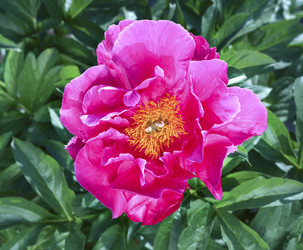 Similar image 21280603