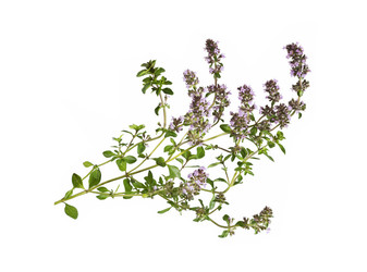 Similar image 21280611