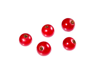 Similar image 21280612