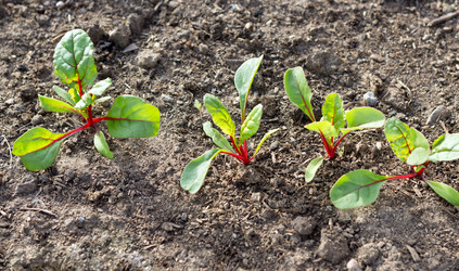 Similar image 21280614