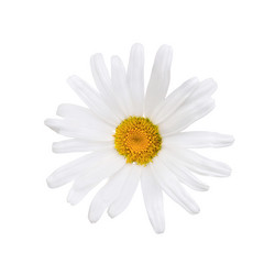 Similar image 21280615