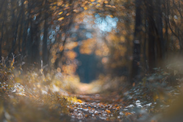 Similar image 21272993