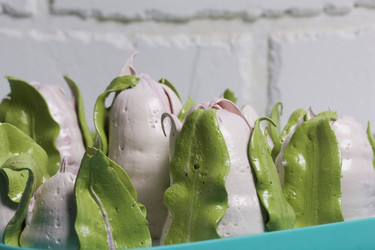 Similar image 21281099