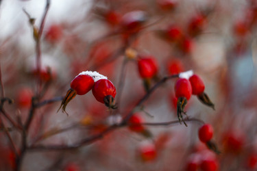 Similar image 21276421