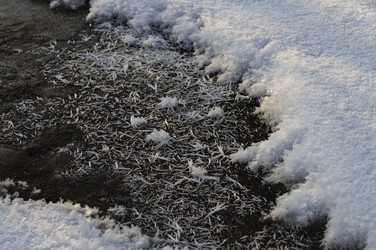 Similar image 21275170