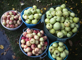 Similar image 21275176