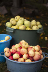 Similar image 21275187