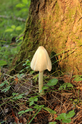 Similar image 21272829