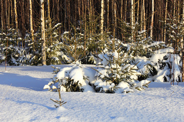 Similar image 21285797