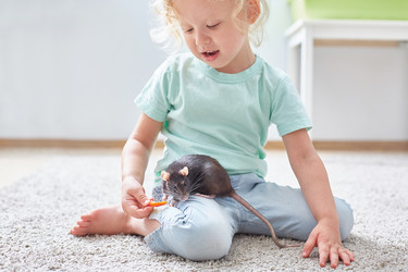 Similar image 21273298