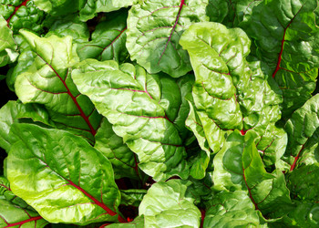 Similar image 21280617