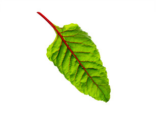 Similar image 21280618