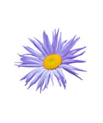 Similar image 21280621