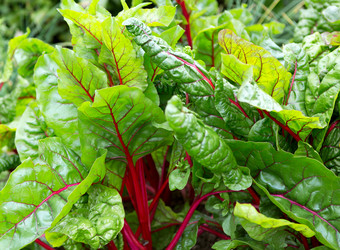 Similar image 21280625