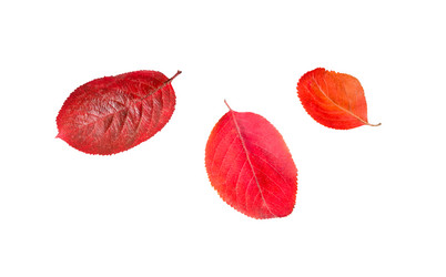 Similar image 21280627