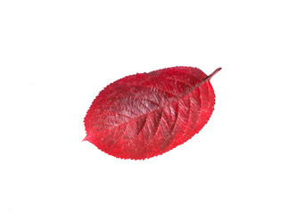 Similar image 21280629