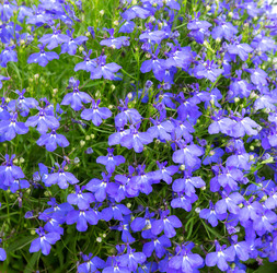 Similar image 21280630