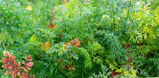 Similar image 21280631