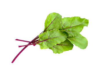 Similar image 21280634