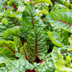 Similar image 21280638