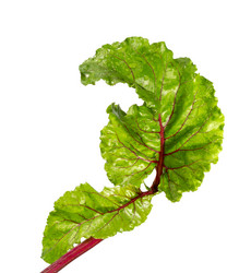 Similar image 21280640