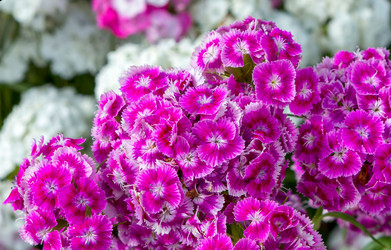 Similar image 21280650