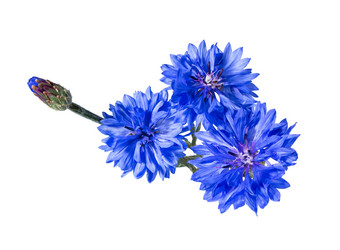 Similar image 21280659