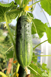 Similar image 21272861