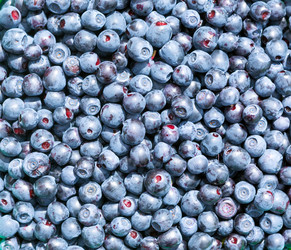 Similar image 21280671