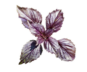 Similar image 21280673