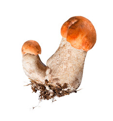 Similar image 21280674